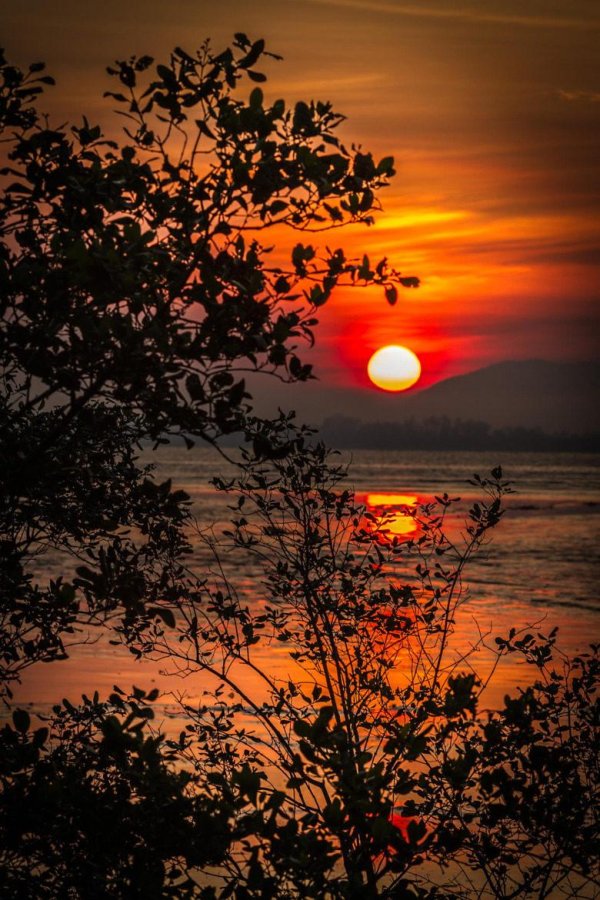 природа закат