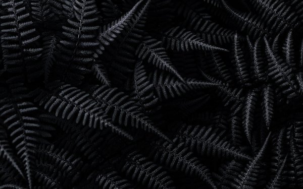 вапорвейв папоротник