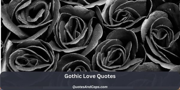 роза халфети