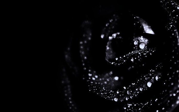 красивые темные обои