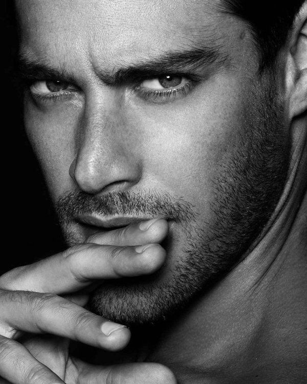 гонсало тейшейра