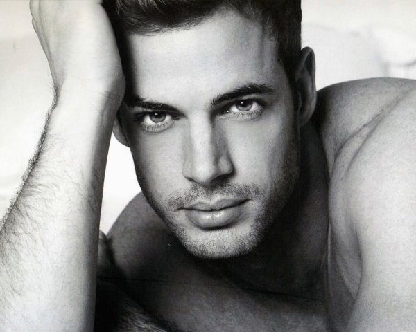 леви уильям