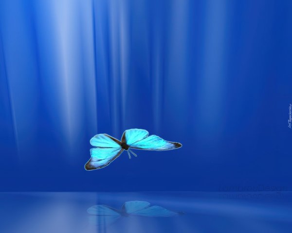 a blue butterfly