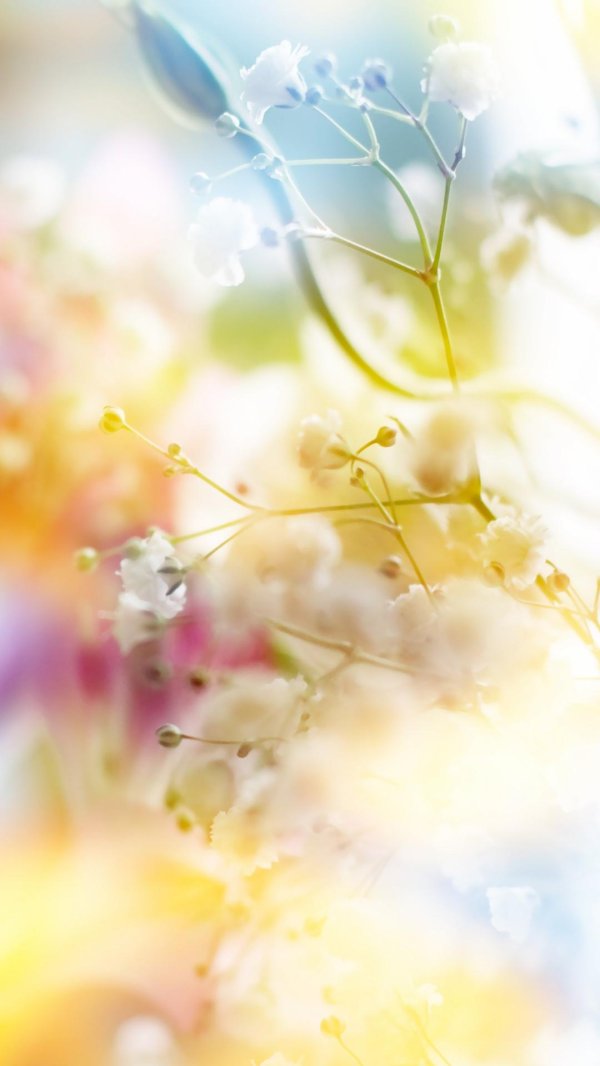 весенние фоны