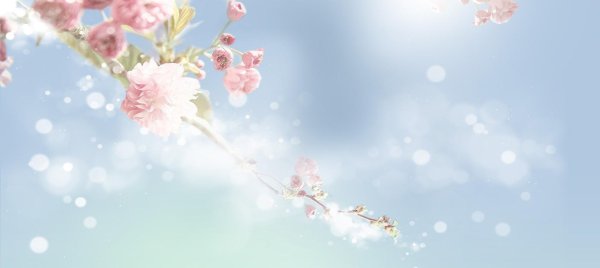 весенние фоны