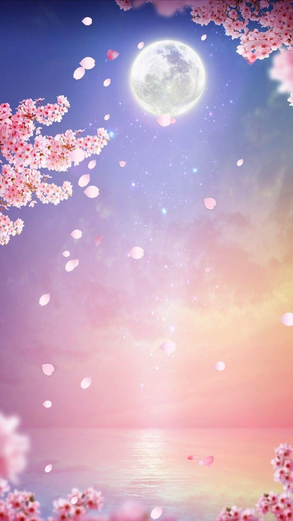 цветет сакура