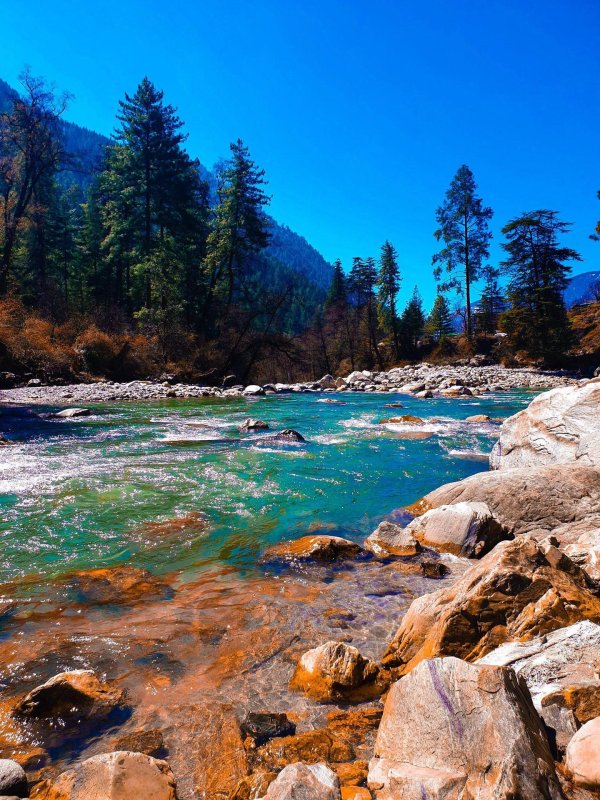 река парвати гималаи