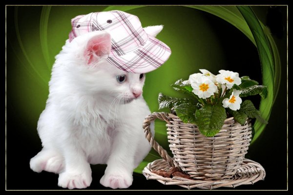 просто так открытки