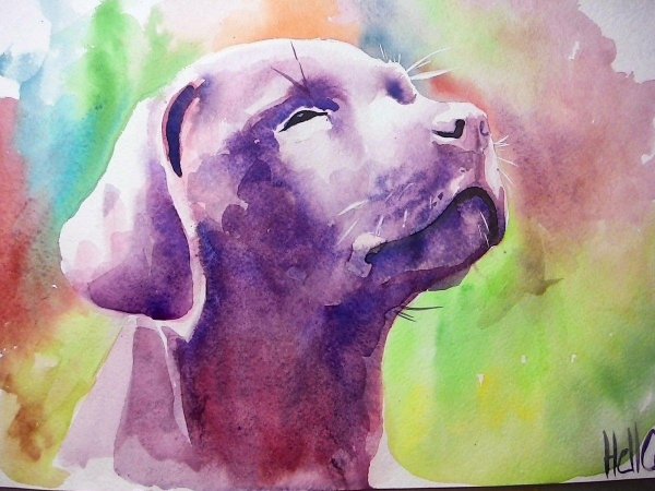 акварель рисунки