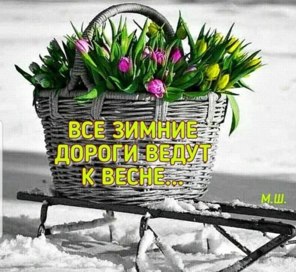 доброе утро ждем весну