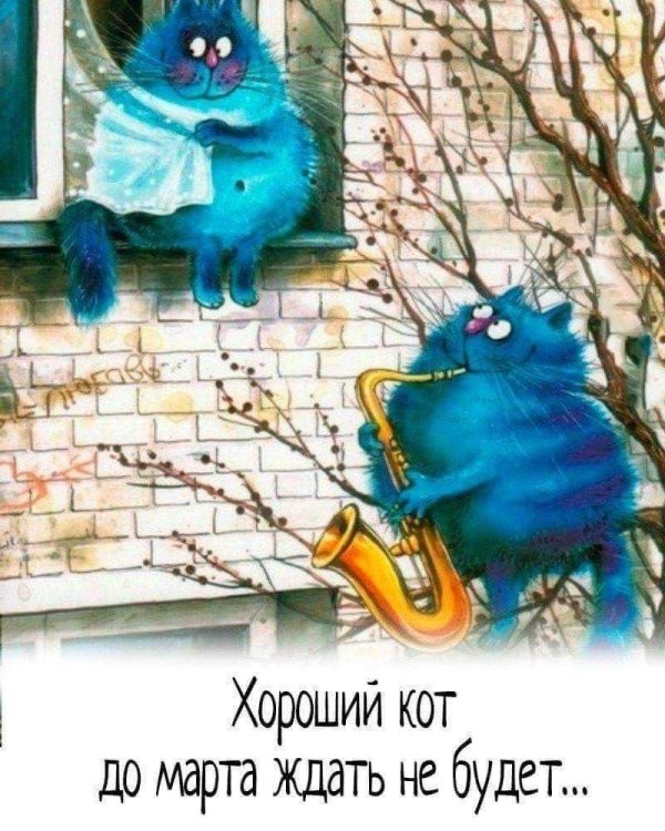 синие котики ирины зенюк