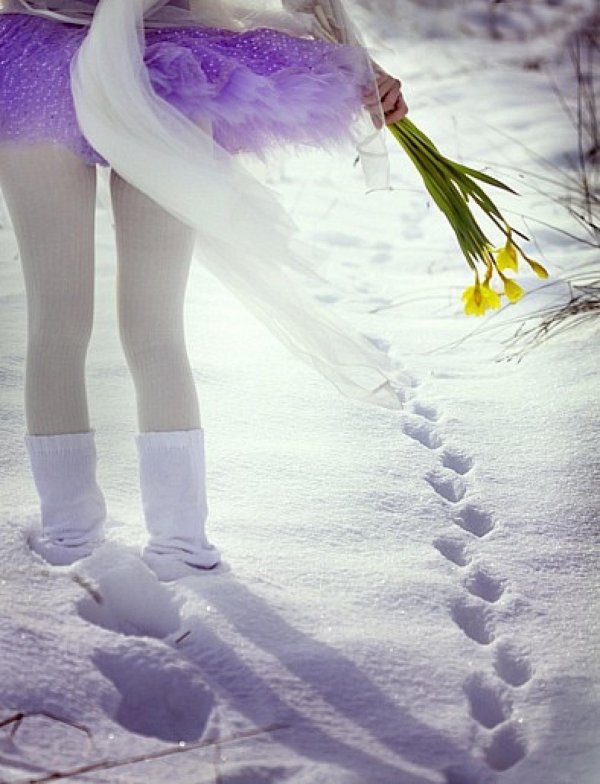 подснежники сквозь снег