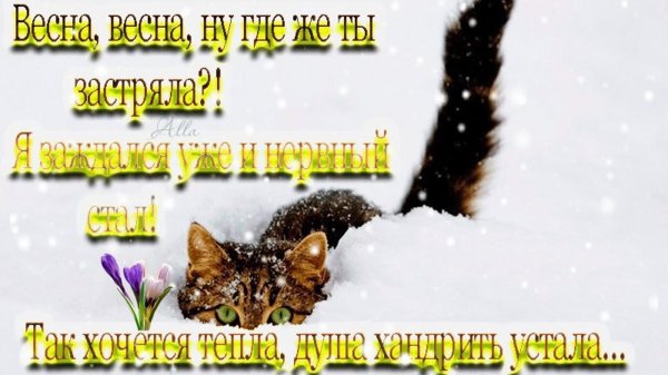 хочу весну