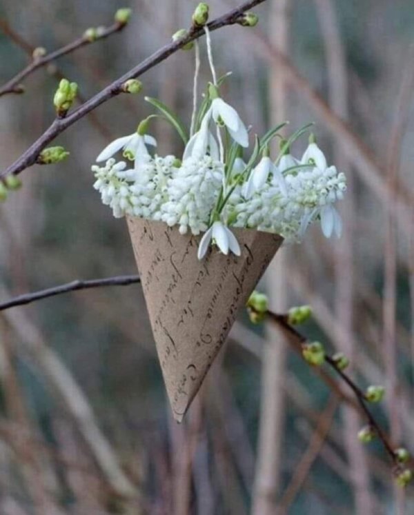 букет подснежники