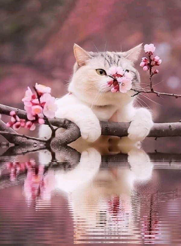 весеннего настроения