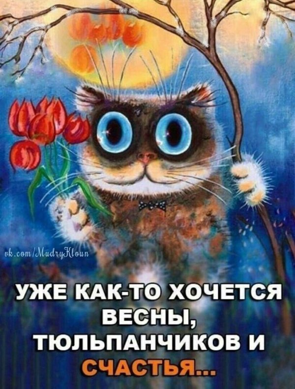 рисованные коты
