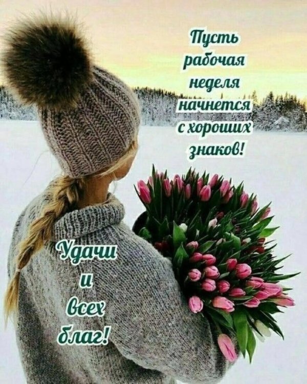 цветы зимние