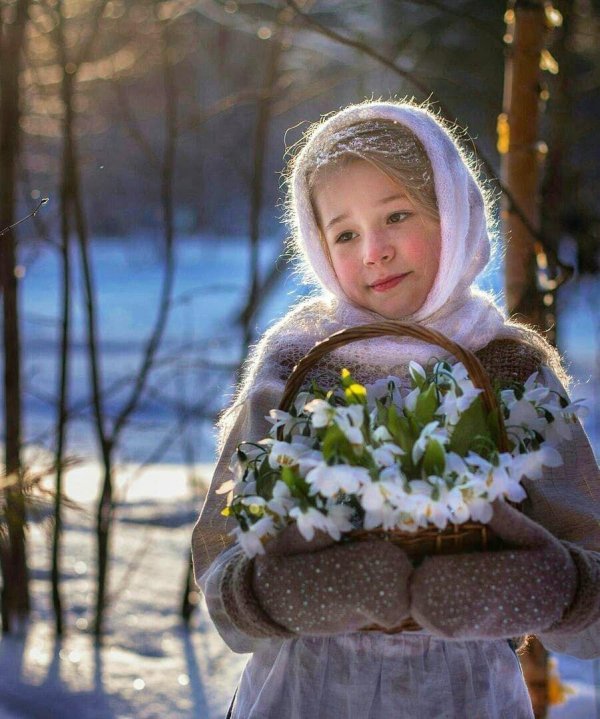 подснежники 12 месяцев