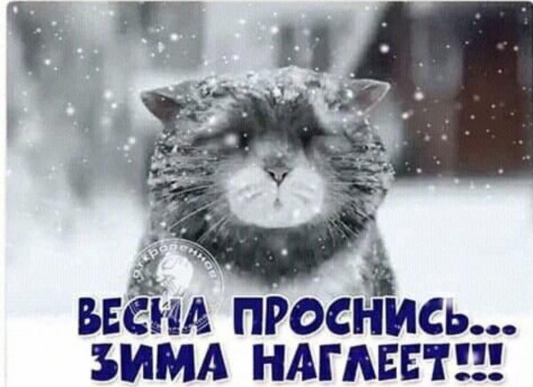 проснулся зима