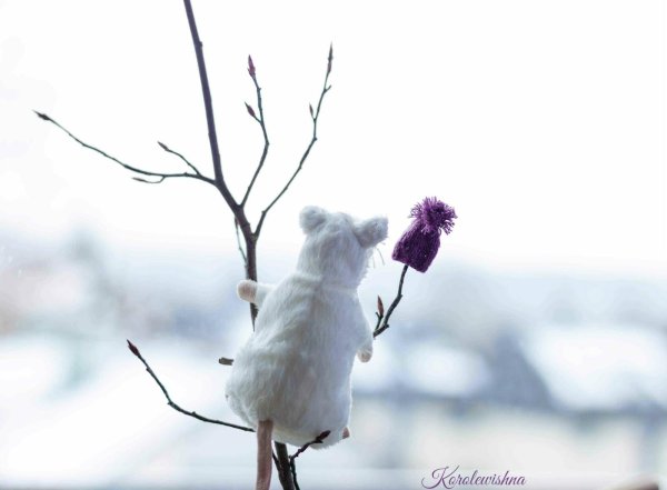 крыса вязаная