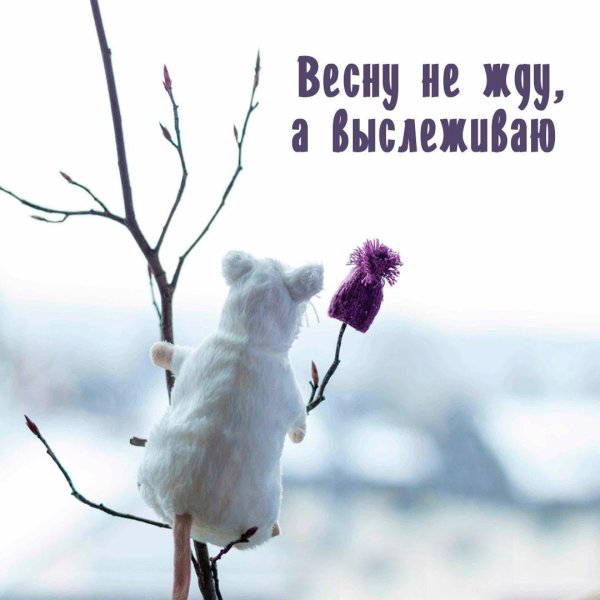 цитаты про весну короткие