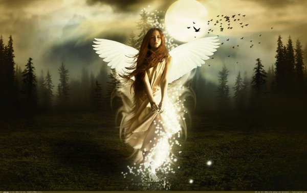 красивые ангелы
