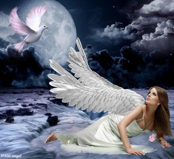 красивые ангелы