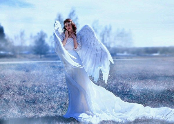 красивые ангелы
