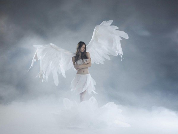 белые ангелы