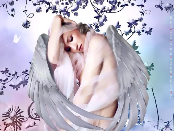 красивые ангелы