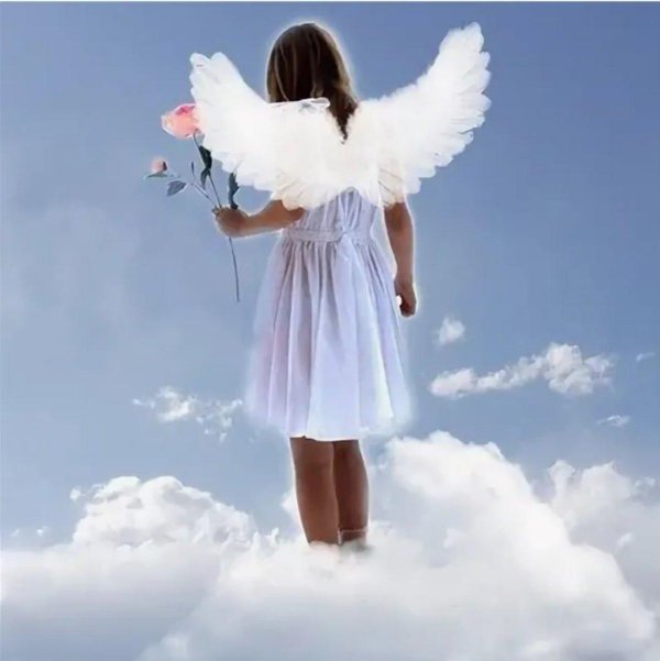 белые ангелы