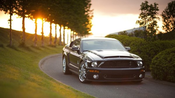 ford mustang shelby gt500kr 2008