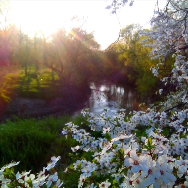 апрель природа