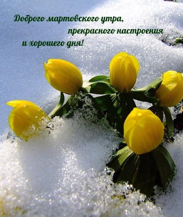 доброго весеннего дня