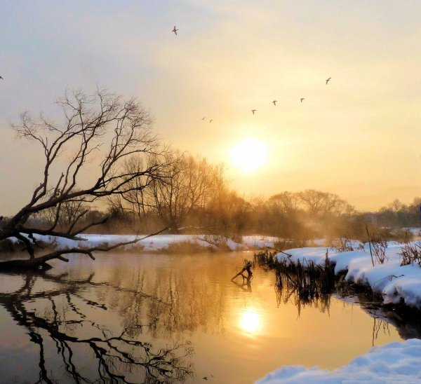 зимние пейзаж