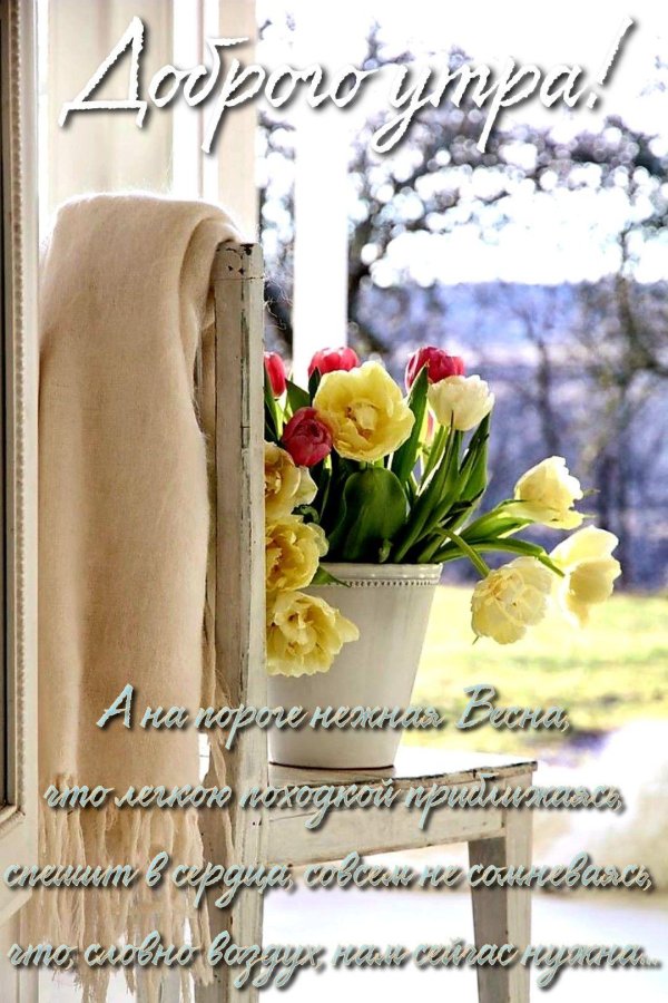 весенние цветы на окне