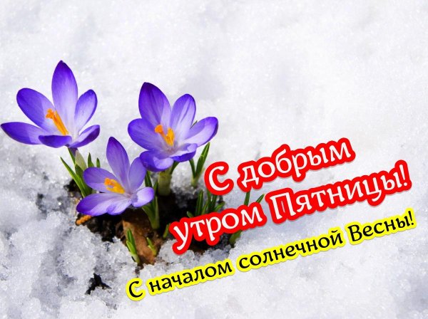 добрейшего утра пятницы