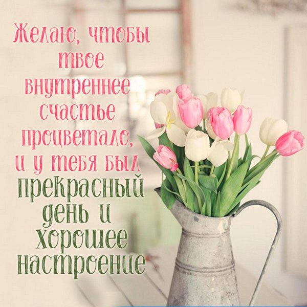 стильные поздравления с добрым утром