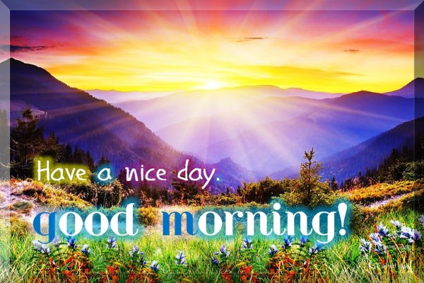 good morning рассвет