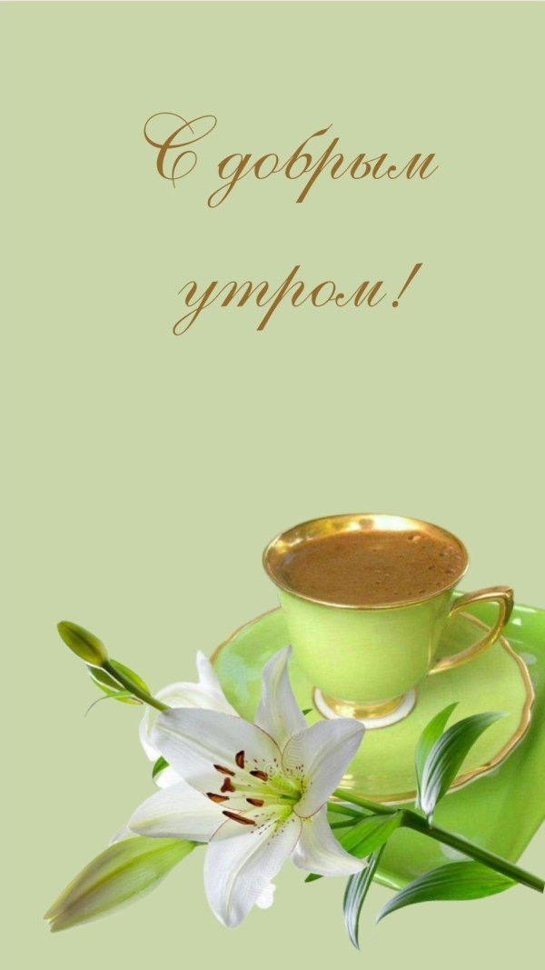 добра утра