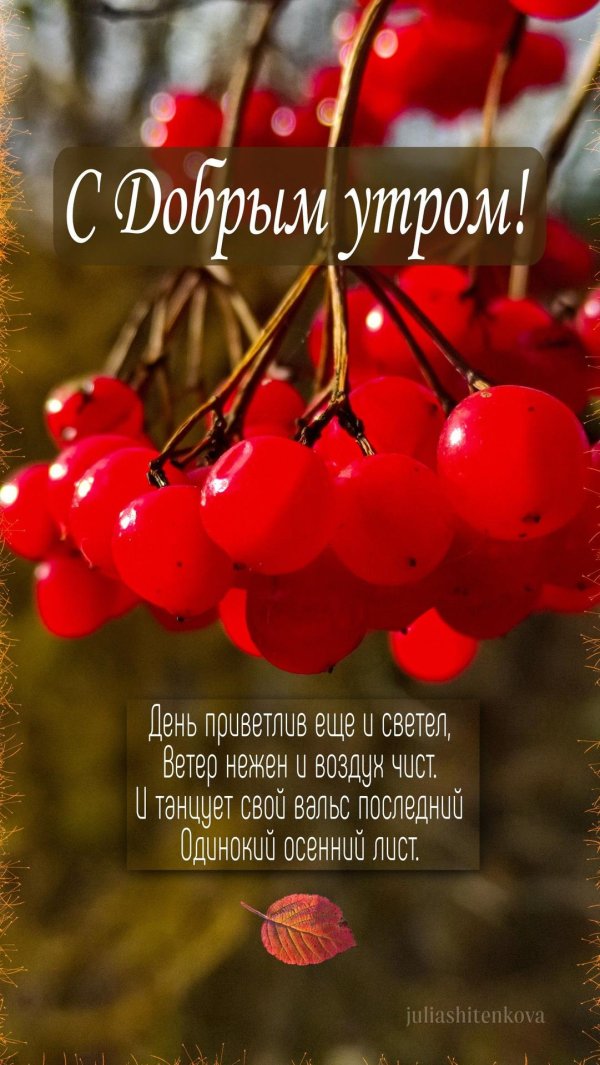 доброго утра осеннего