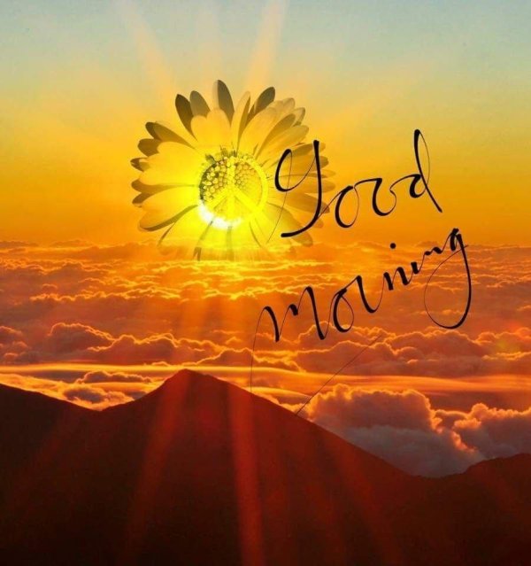 солнца рассвет