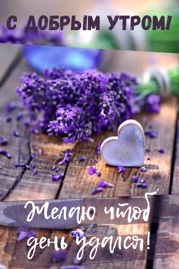 доброе утро и хорошего дня стильные с афоризмами