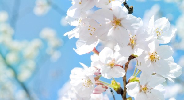 майские праздники