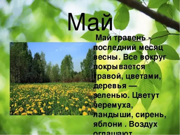 май травень