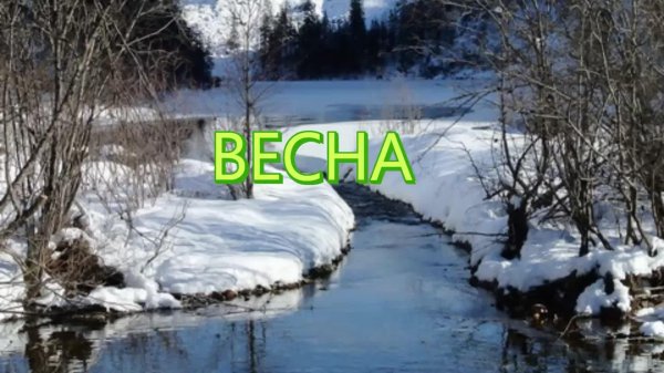 тает снег бегут ручьи