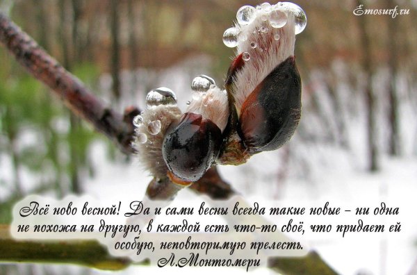 цитата про весну