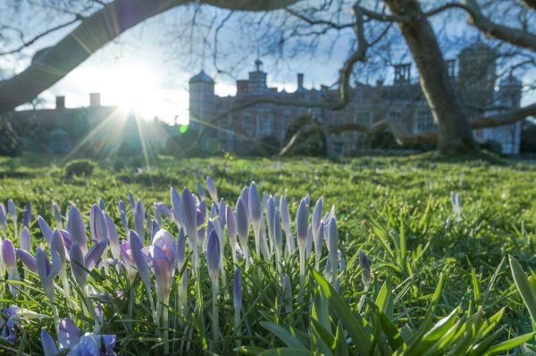 шеффилдский ботанический сад шеффилд