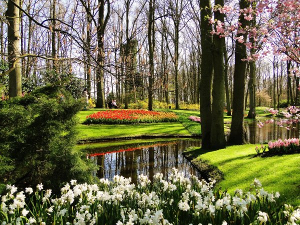 keukenhof gardens нидерланды