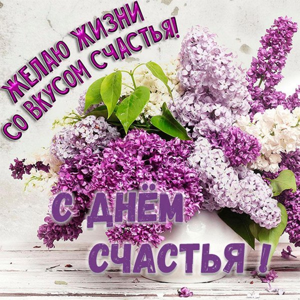 открытки и поздравления